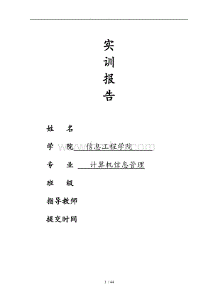 系统开发实训报告模板.doc